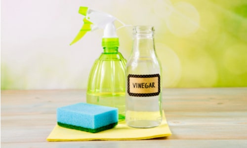 6 Easy Ways To Get Rid Of Ants From Your Home vinegar